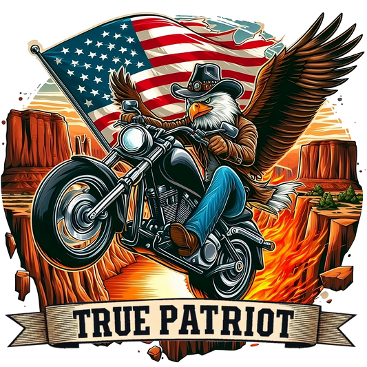 MOTORCYCLE PATRIOT 01