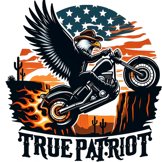 MOTORCYCLE PATRIOT 02